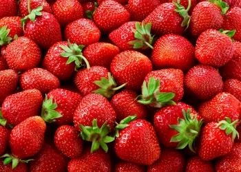 The benefits of strawberry extract in skincare products