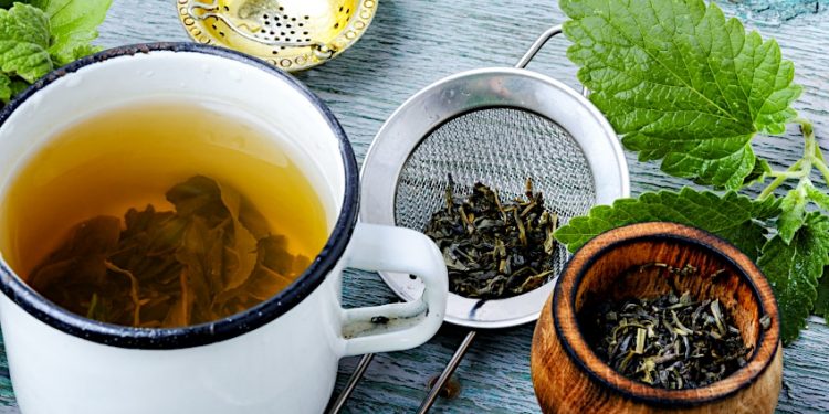 Herbal Tea Recipes – Healthy Homemade Teas from Herbs