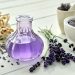 Lavender Tea Benefits – More Than Just a Pretty Flower