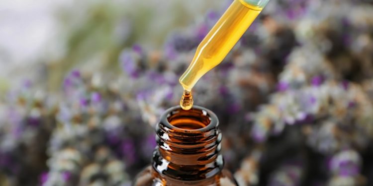 How to Make Lavender Essential Oil – DIY Lavender Oil Recipes