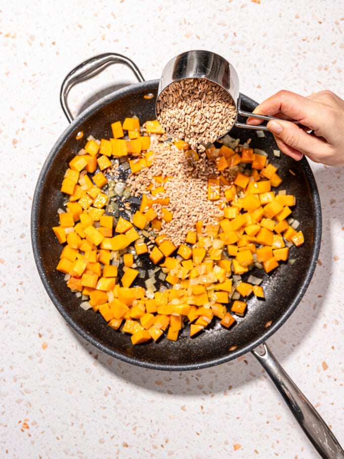 hand pouring farro into skillet with butternut squash