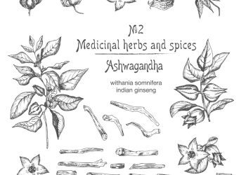 Ashwagandha: Herbal Support in These Stressful Times