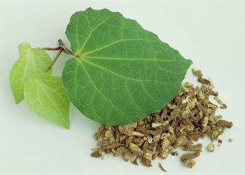 Herbal Support for Acute Anxiety