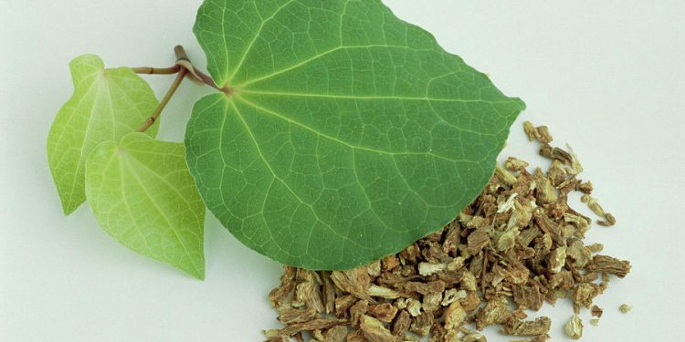 Herbal Support for Acute Anxiety