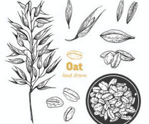 Smile’s Own Nerve Soother Blend