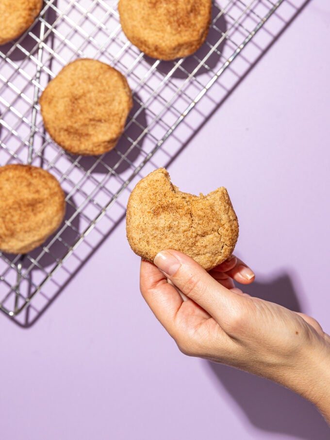 hand holding snickerdoodle cookie