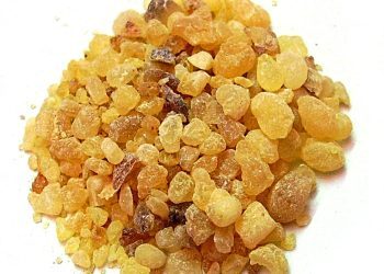 Herbal Support for Arthritis & Joint Pain