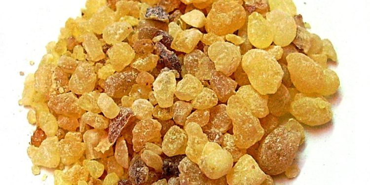 Herbal Support for Arthritis & Joint Pain