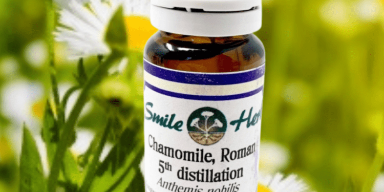 Chamomile: The Underappreciated Multitasker