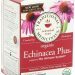 Why We Love Echinacea