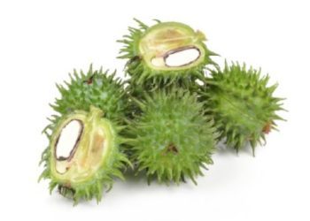 A Simple Guide to Carrier Oils (Part 2)