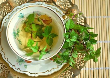 Mint, Wonderful Mint!