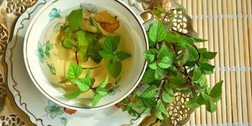 Mint, Wonderful Mint!