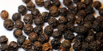 Medicinal Kitchen Part II: Spices