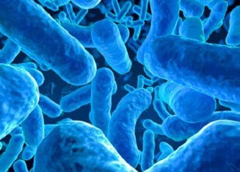 Parasites: Things To Know