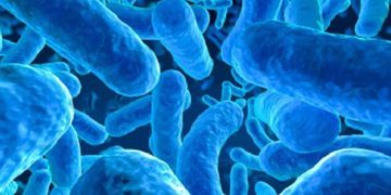 Parasites: Things To Know
