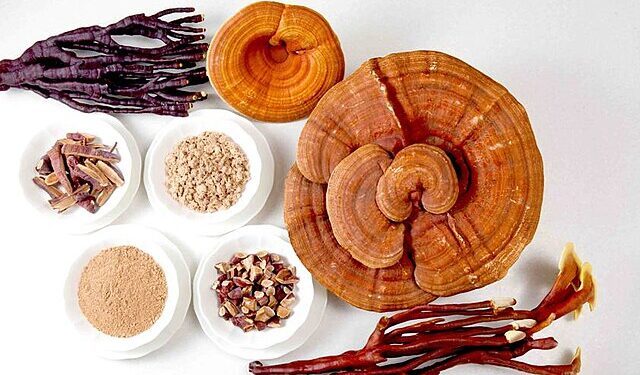 Mushrooms for Immune Health