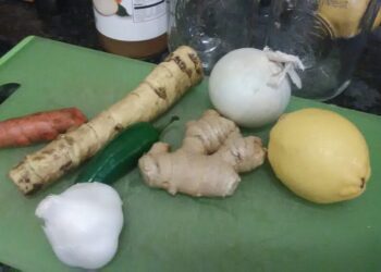 Make Your Own Medicine: Fire Cider 101